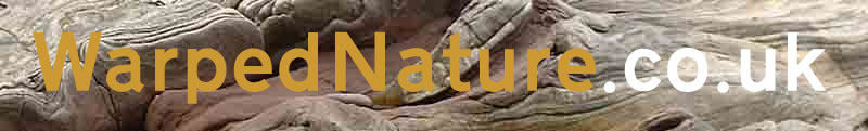 Warped Nature home page