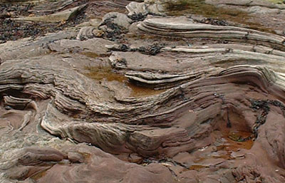 Rocks and rockpools at Tyninghame